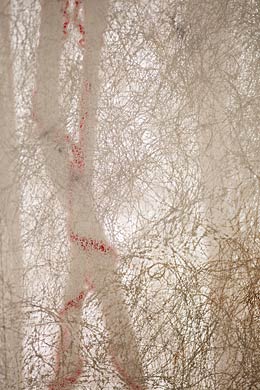 Installation Verborgenes